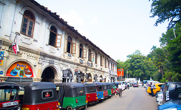 Kandy City and Temple Walk - Experience - Sri Lanka In Style